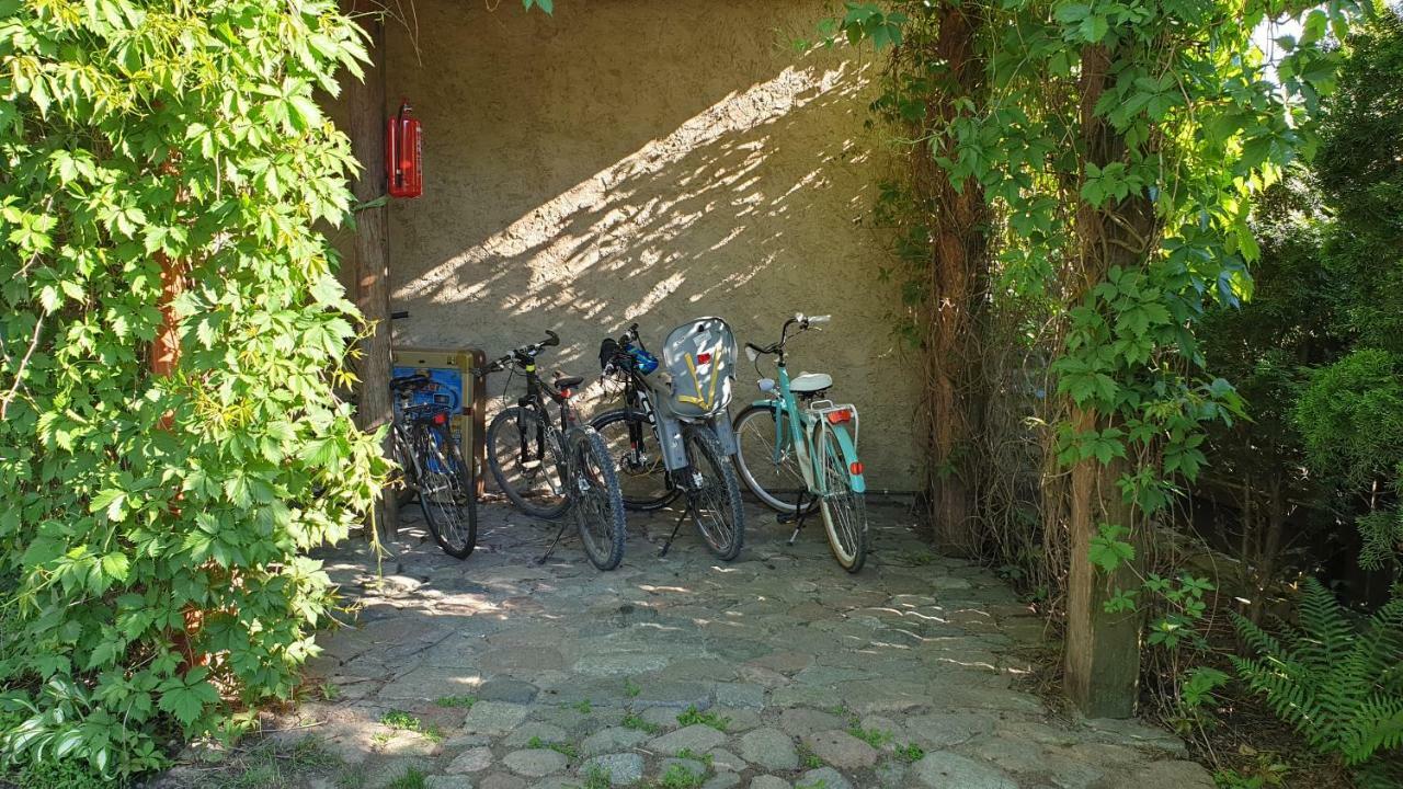 Villa Mlyn Z Pasja Gaski  Exterior foto